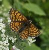 327965 – Photo : Patrick Bouvier – France (73)